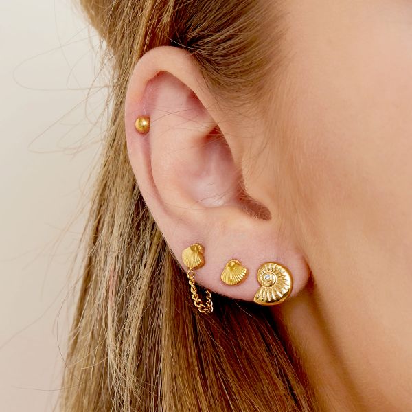 Twisted shell øreringe